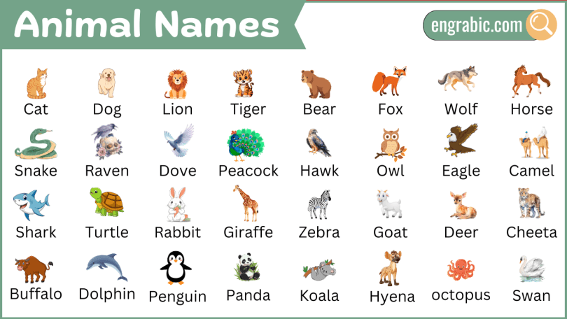 60 common animal names chart for vocabulary building in young learners