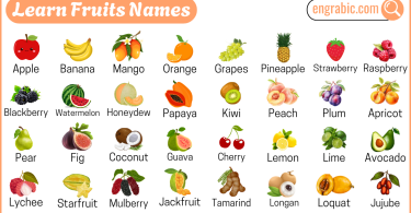 60 Fruits Names in English with Pictures - Fruits Visual Vocabulary