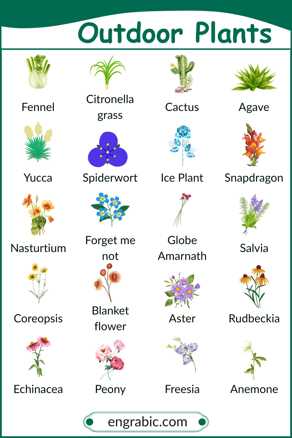 Native outdoor plants growing naturally